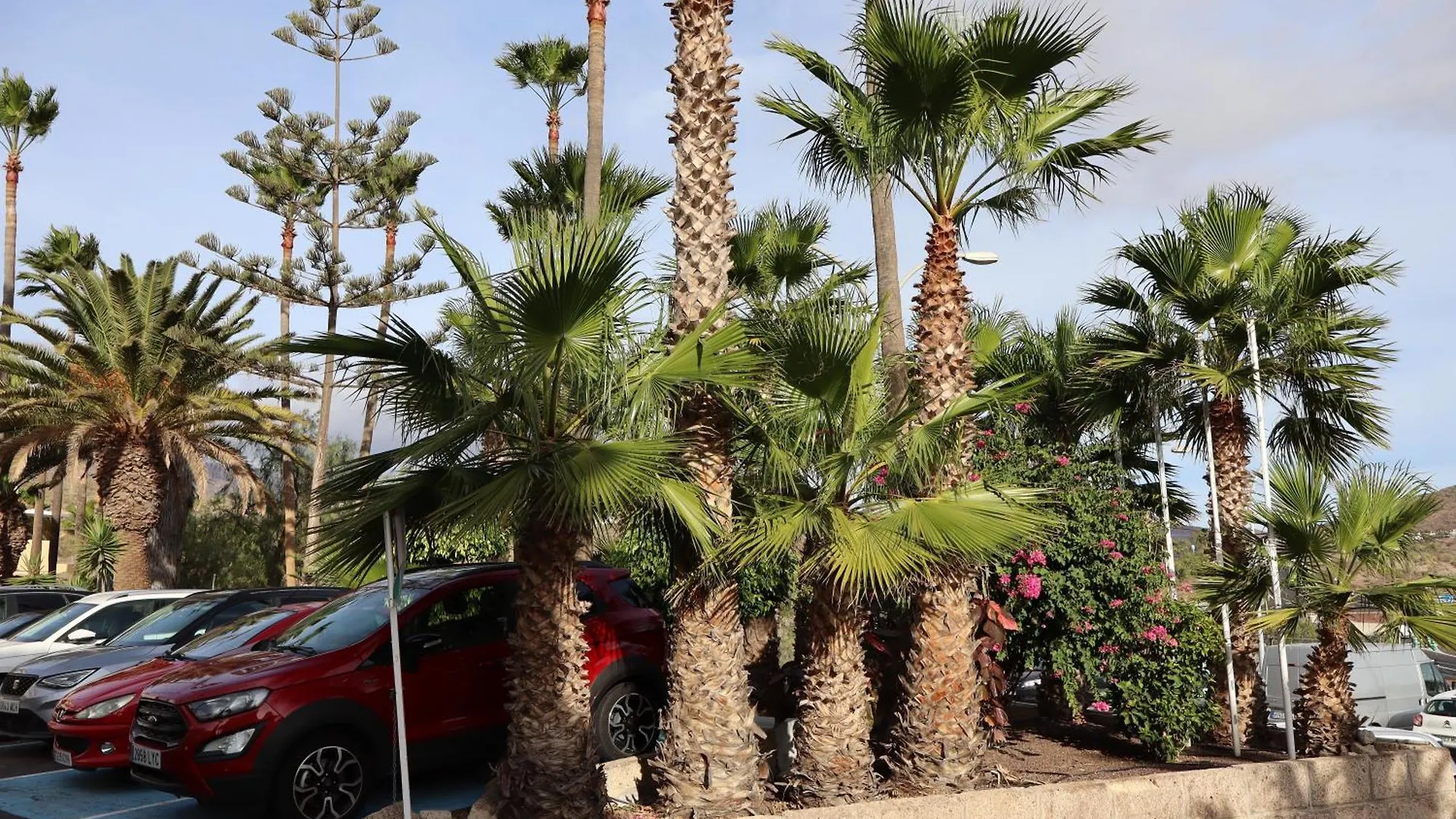 Chayofa Escape Relax And Enjoy Apartment